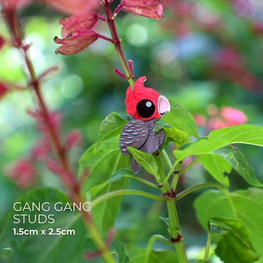 BINKABU Gang Gang Cockatoo Studs handmade acrylic bird earrings