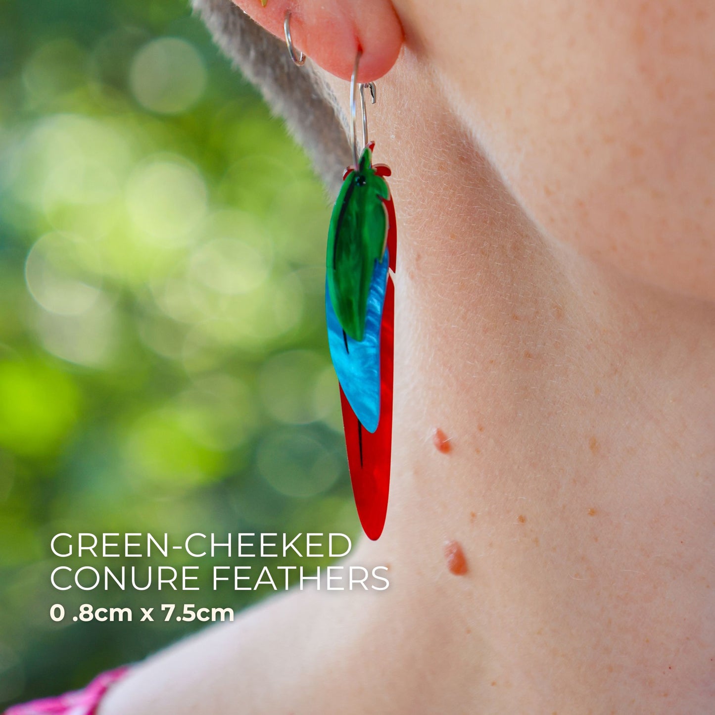Foraged Feathers - Green-Cheeked Conure - Handmade Statement Bird Earrings