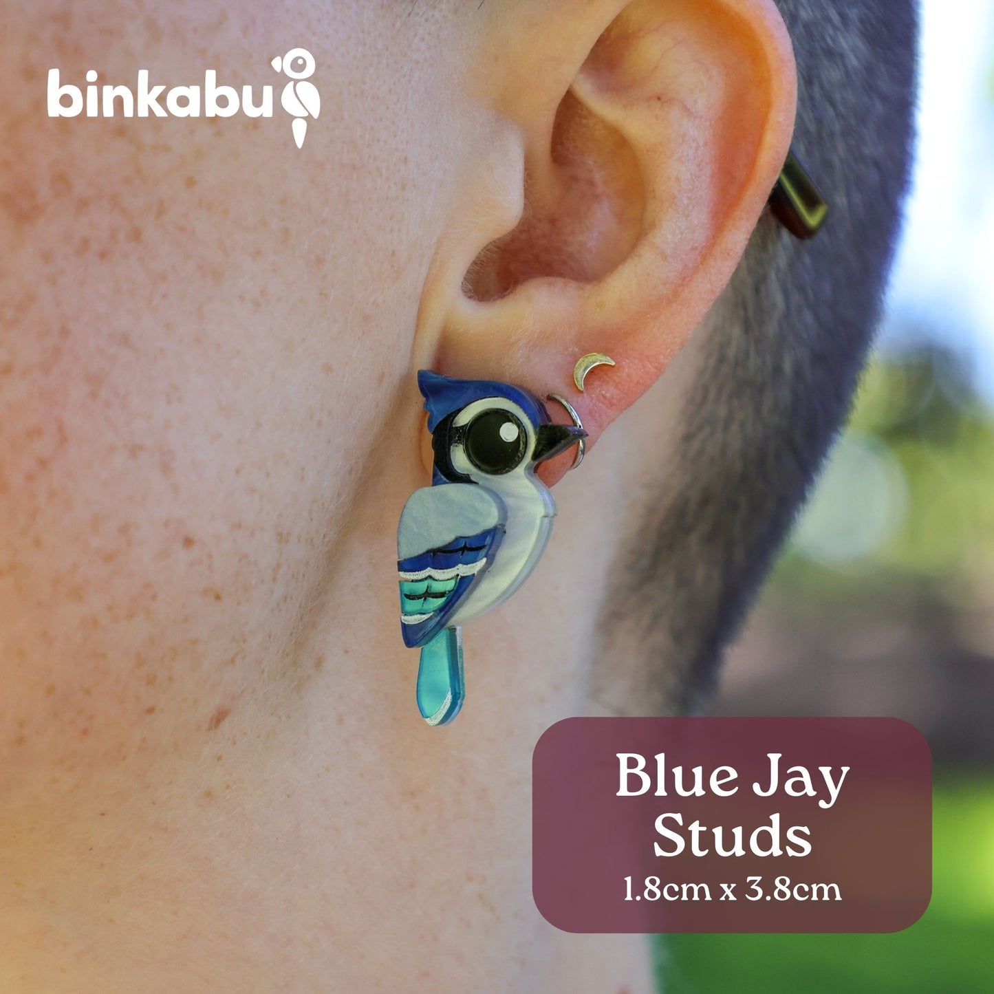 BINKABU Blue Jay Stud Earrings - Handmade North American Songbird Earrings