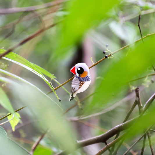 BINKABU Zebra Finch Handmade Acrylic Bird Earrings