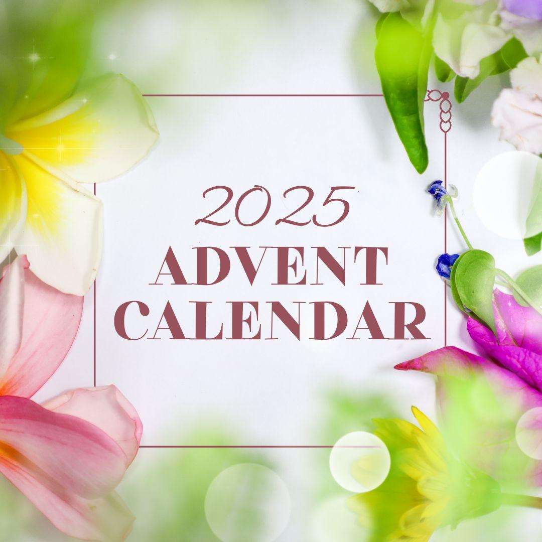 BINKABU 2025 Advent Calendar Handmade Bird Earrings