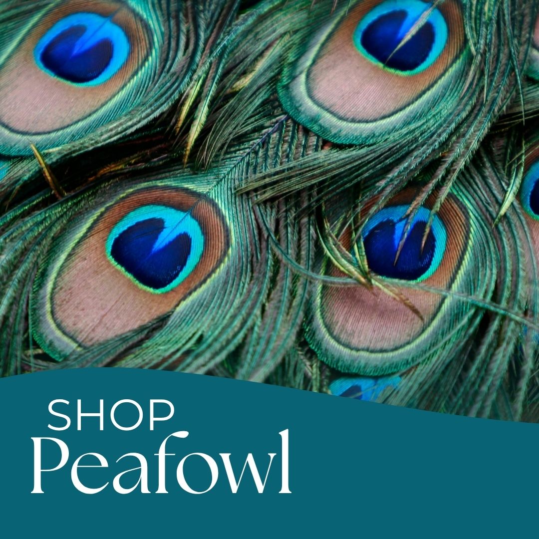 BINKABU Peacock Handmade Bird Earrings