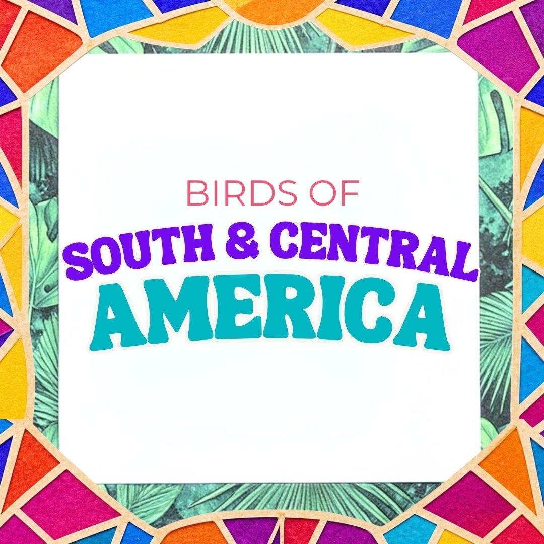 South & Central America Bird Earrings