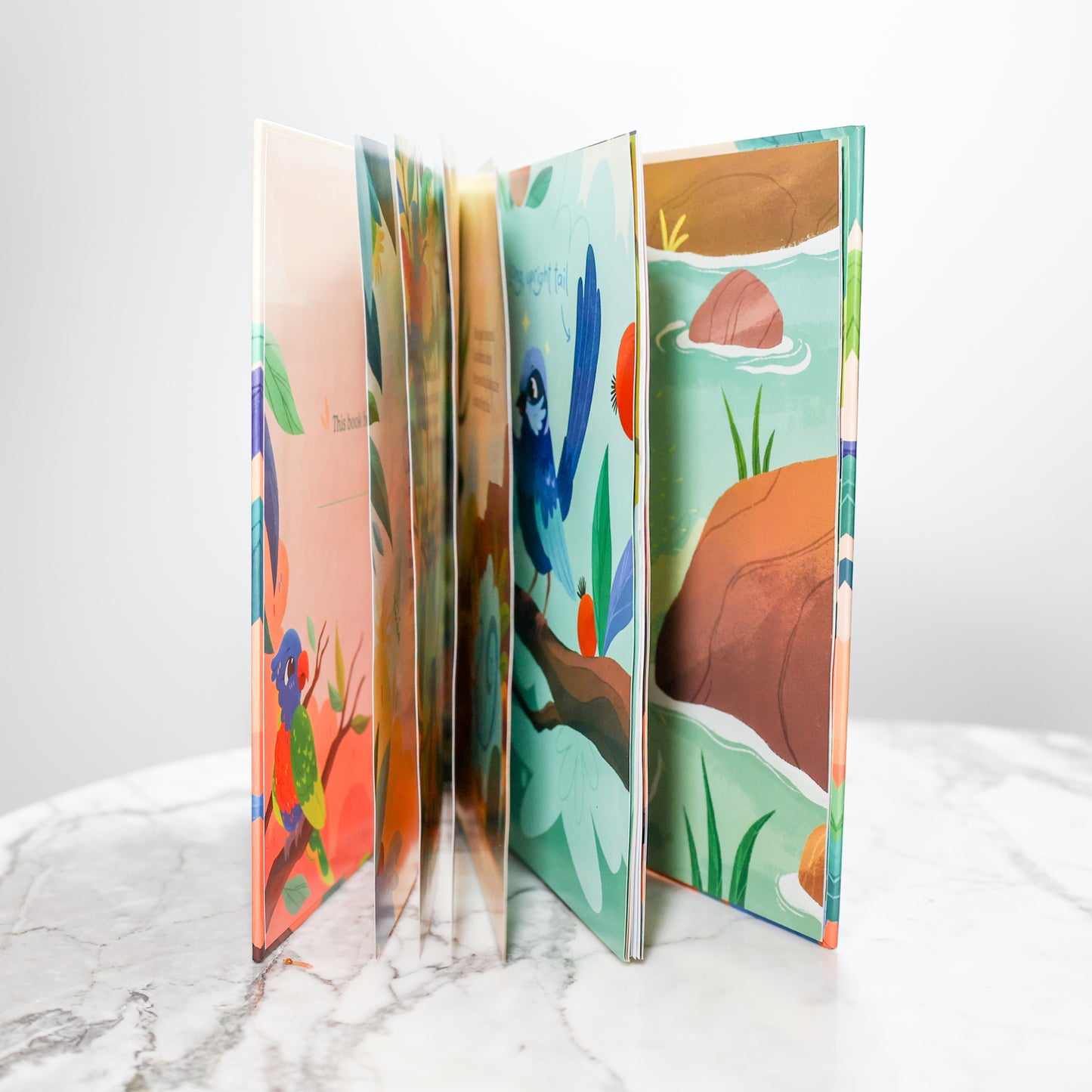 Little Lori's Colours - NEW Hardcover Children's Book