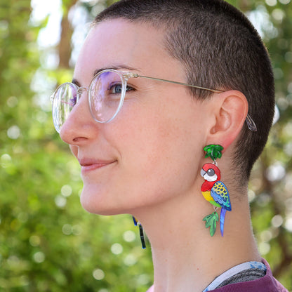 Eastern Rosella Earrings - Statement Bird Earrings