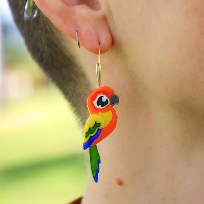 Sun Conure Acrylic Stud Earrings - Handmade Bird Earrings