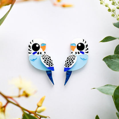 Blue & White Budgie Studs - Statement Acrylic Bird Earrings