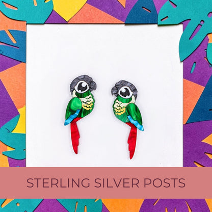 Green-Cheeked Conure Acrylic Stud Earrings - Handmade Bird Earrings