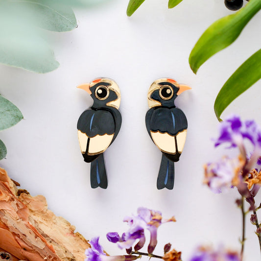 *O'Reilly's Exclusive* WHOLESALE - Male Regent Bowerbird Studs