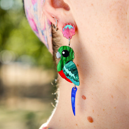 BINKABU King Parrot handmade acrylic bird earrings