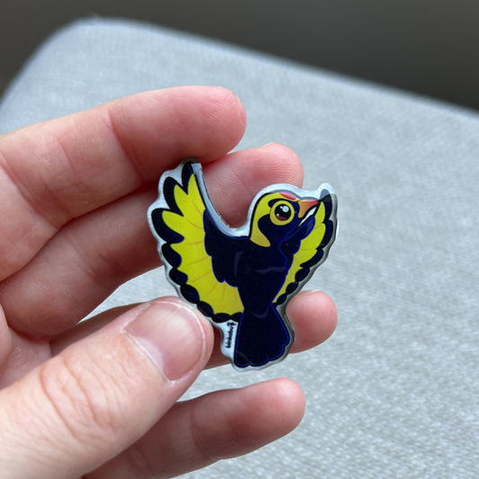 Metal Pin Badge - Regent Bowerbird (male) - Statement Bird Accessories