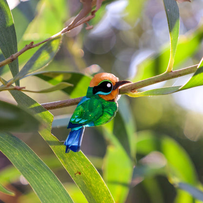 BINKABU Rainbow Bee-Eater handmade acrylic bird earrings