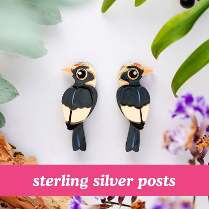 Male Regent Bowerbird Studs - Statement Bird Earrings