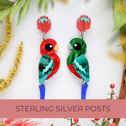 BINKABU King Parrot handmade acrylic bird earrings