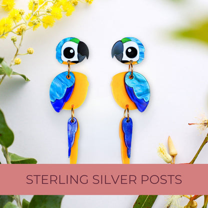 Blue and Gold Macaw Earrings - Statement Bird Earrings