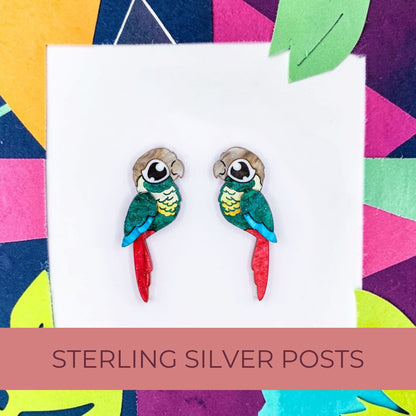 Turquoise Green-Cheeked Conure Acrylic Stud Earrings - Handmade Bird Earrings
