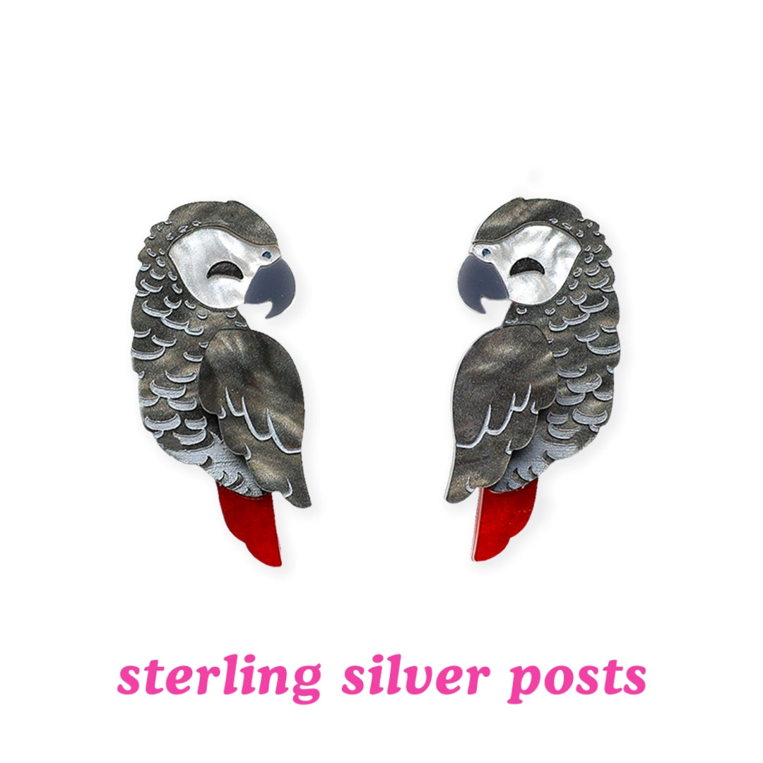 African Grey Parrot Stud Earrings - Birds of Africa