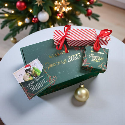 LIMITED EDITION: Mystery BinkaBonBon - 2025 Christmas Collection