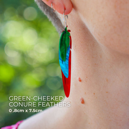 Foraged Feathers - Green-Cheeked Conure - Handmade Statement Bird Earrings