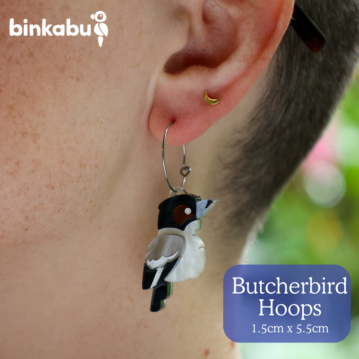 Grey Butcherbird Studs - Statement Bird Earrings