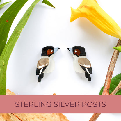 BINKABU Grey Butcherbird Studs handmade acrylic bird earrings