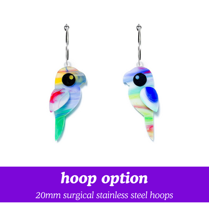 Party Parrots - Lollipop - Statement Acrylic Bird Earrings