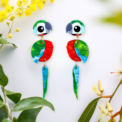 Harlequin Macaw Earrings - Statement Bird Earrings