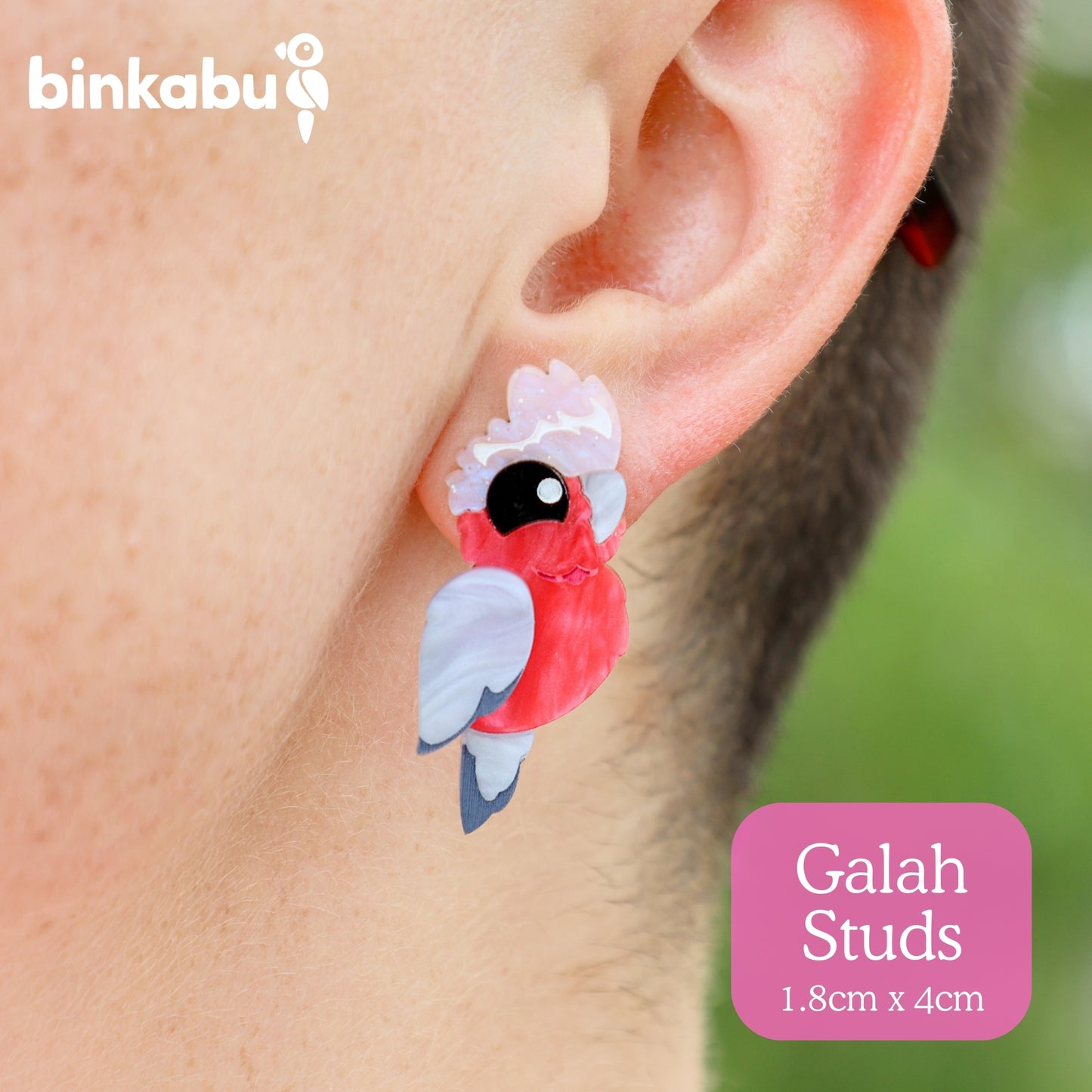 NEW Galah Studs - Statement Bird Earrings
