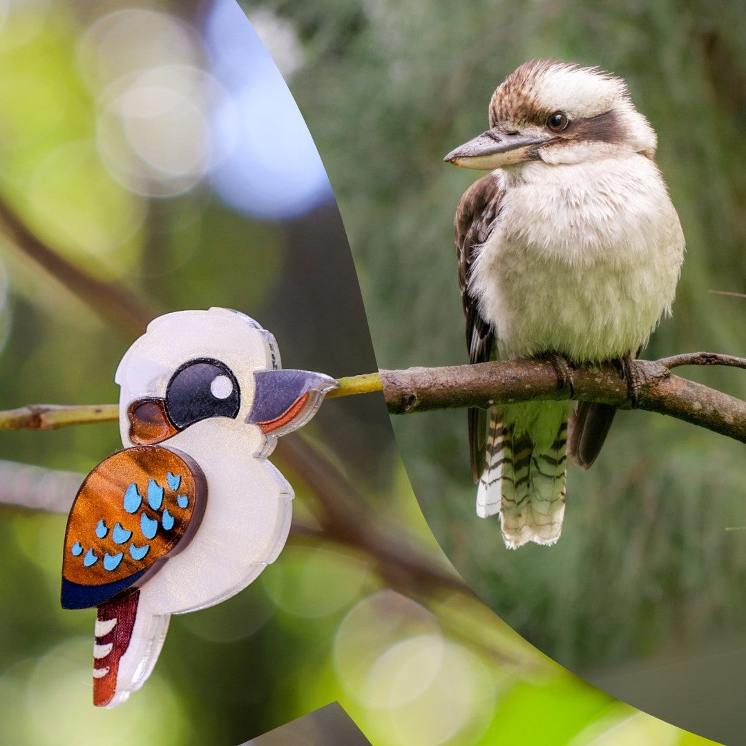 Foraged Feathers - Laughing Kookaburra - Handmade Statement Bird Earrings