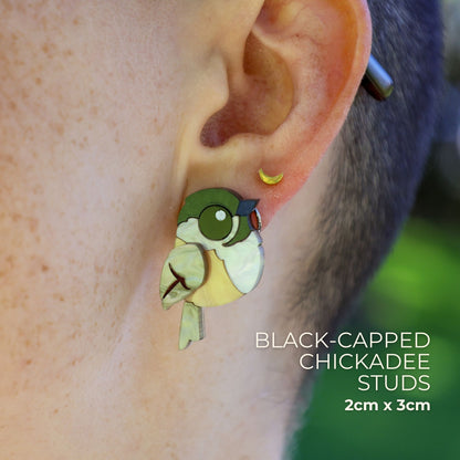 BINKABU Black-Capped Chickadee studs handmade acrylic bird earrings