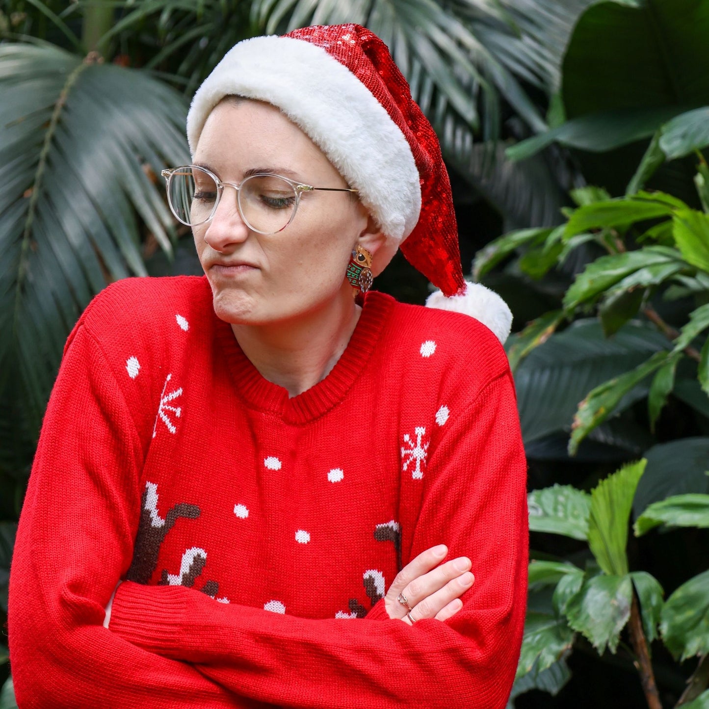 LIMITED EDITION: Christmas Sweater Tawny Frogmouth - 2025 Christmas Collection