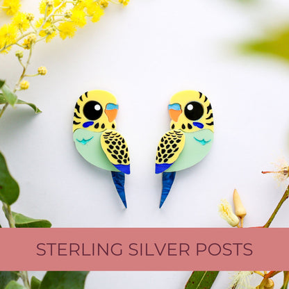 Green & Yellow Budgie Studs - Statement Acrylic Bird Earrings