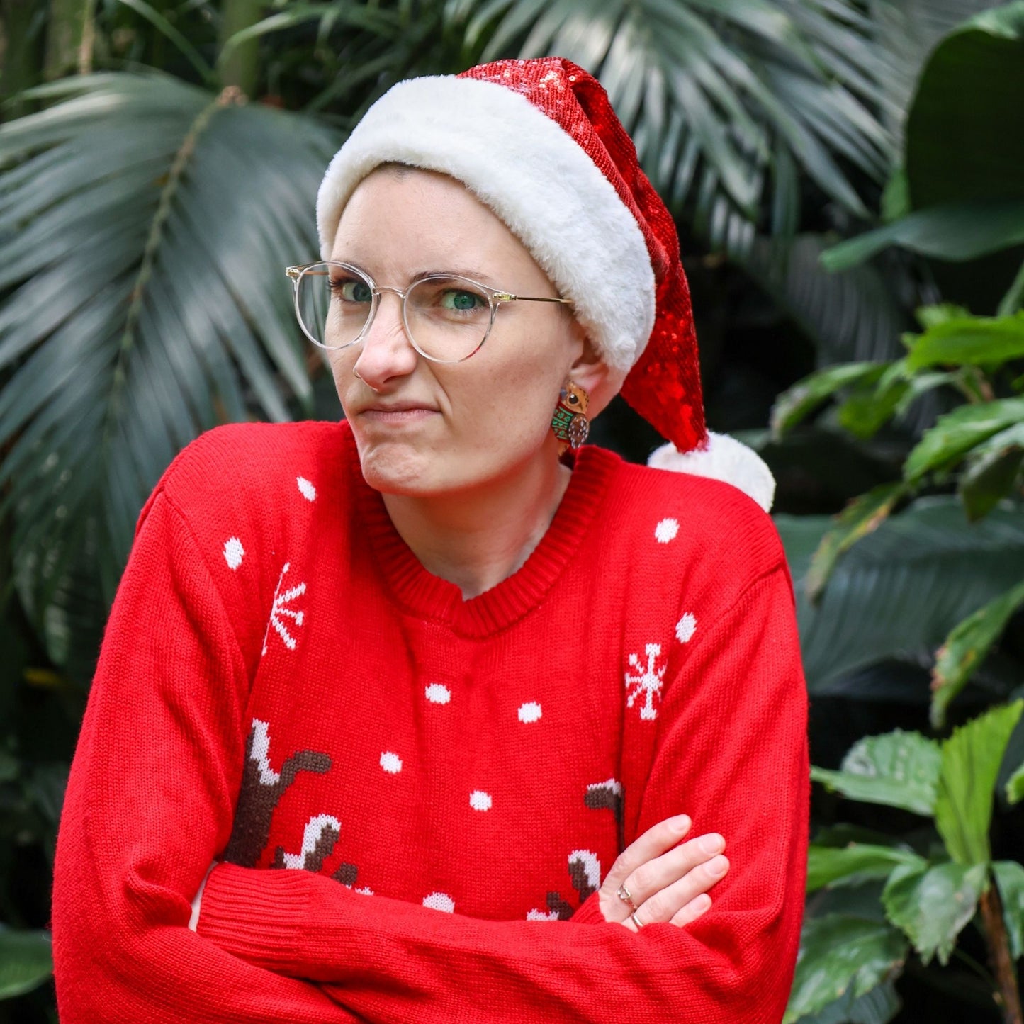 LIMITED EDITION: Christmas Sweater Tawny Frogmouth - 2025 Christmas Collection