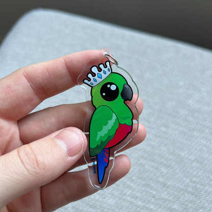 Clear Acrylic Charms - King Parrot (female) - Statement Bird Accessories