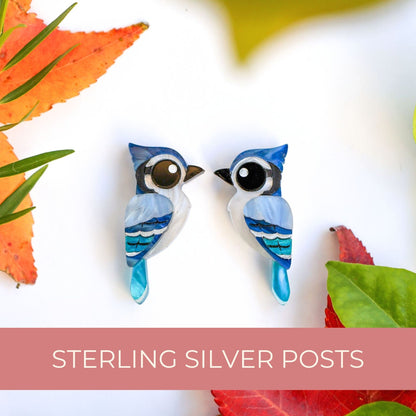 Blue Jay Studs - North American Bird Earrings