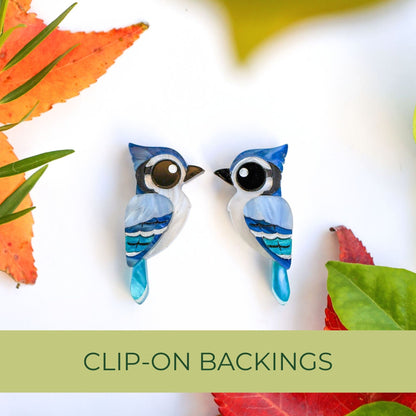 Blue Jay Studs - North American Bird Earrings