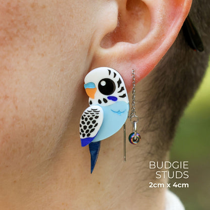 Blue & White Budgie Studs - Statement Acrylic Bird Earrings