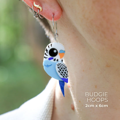 Blue & White Budgie Studs - Statement Acrylic Bird Earrings