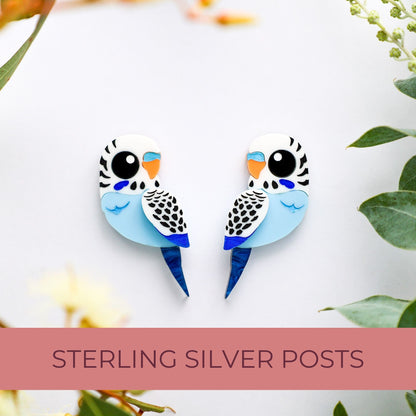 Blue & White Budgie Studs - Statement Acrylic Bird Earrings