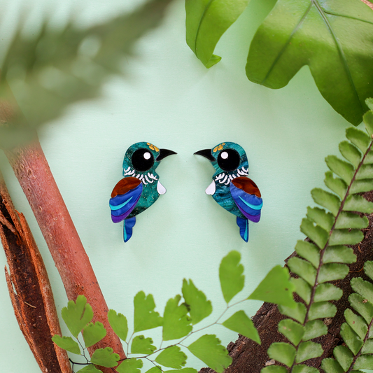 Tūī Stud Earrings - New Zealand Birds