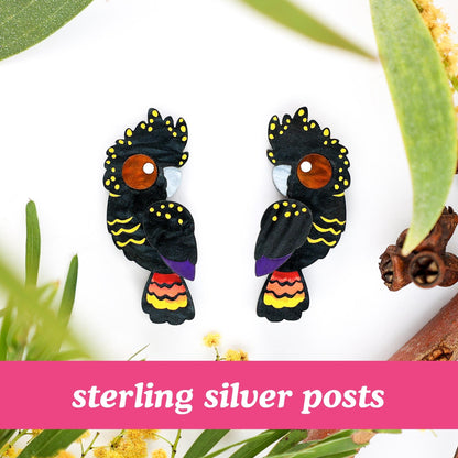 Red-Tailed Black Cockatoo Studs - Statement Bird Earrings