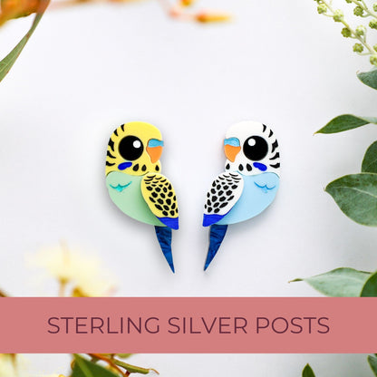 MISMATCHED Budgie Studs - Statement Acrylic Bird Earrings