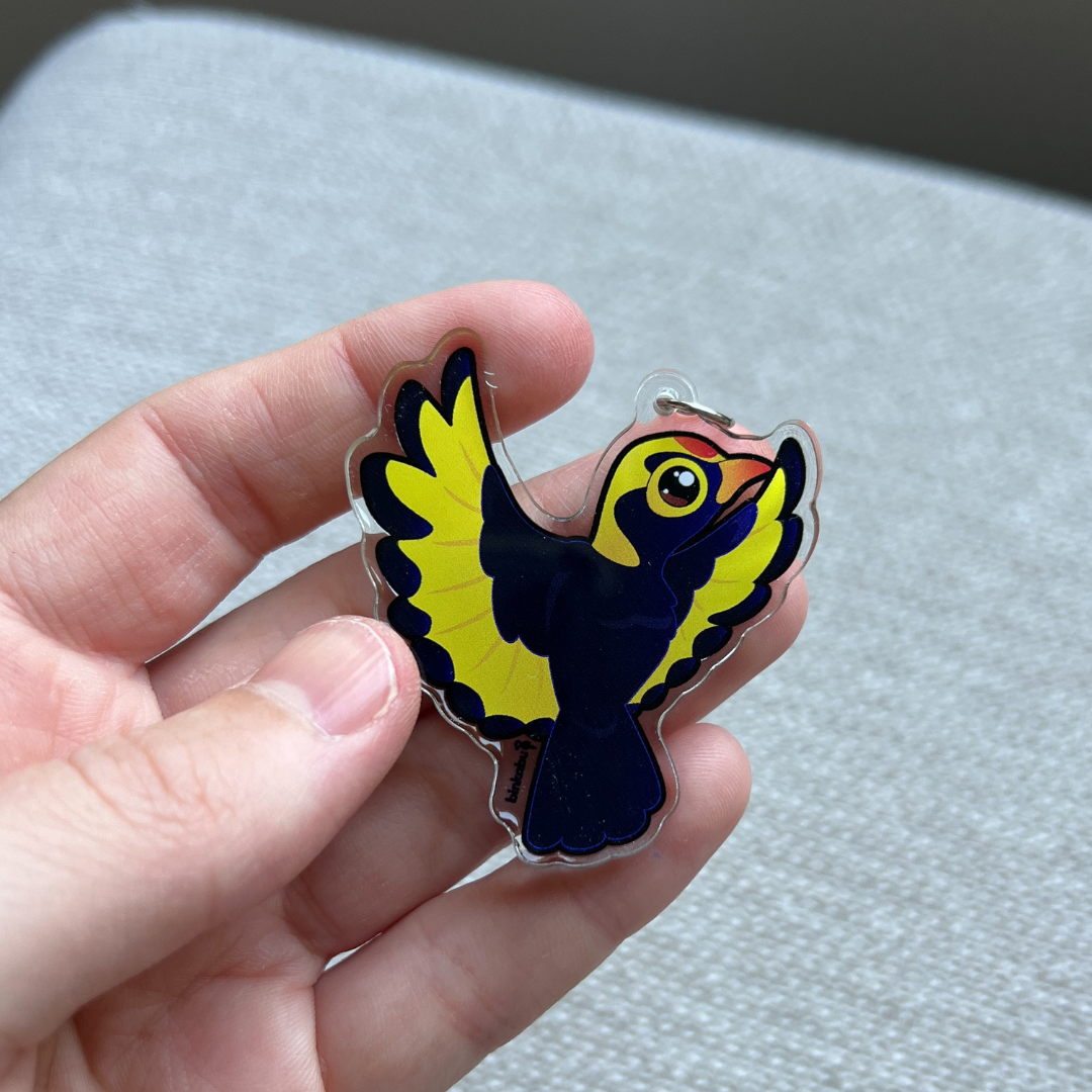Clear Acrylic Charms - Regent Bowerbird in flight (male) - Statement Bird Accessories