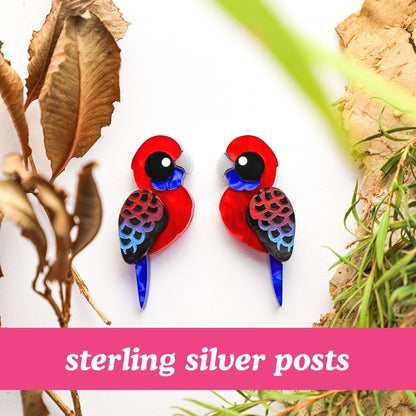 Crimson Rosella Studs - Statement Bird Earrings