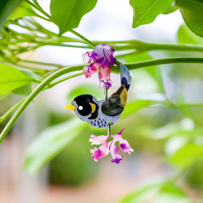 BINKABU Noisy Miner handmade acrylic bird earrings