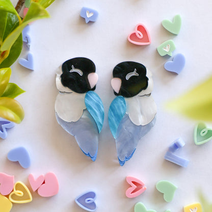 Blue Masked Lovebird Earrings - Birds of Africa