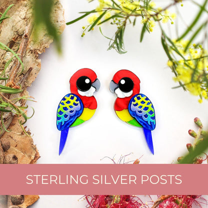 EASTERN_rosella_stud_earrings