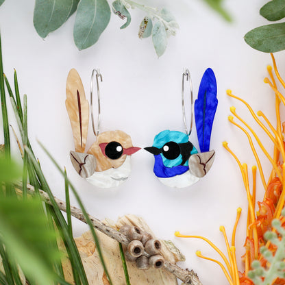 Superb Fairywren Hoop Earrings - Statement Bird Earrings