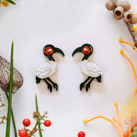Ibis Studs - Bin Chickens - Statement Bird Earrings