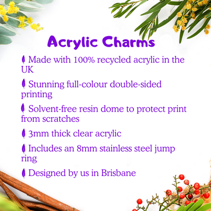 Clear Acrylic Charms - Superb Fairywren (female) - Statement Bird Accessories